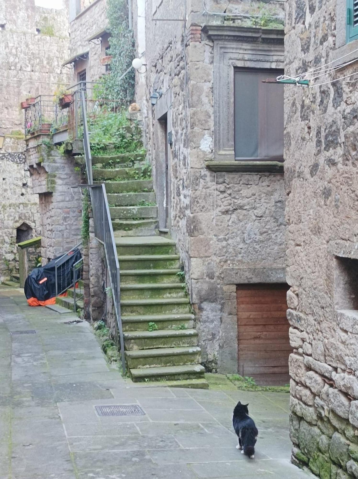 Appartement Sospesi Nel Borgo à Vitorchiano Extérieur photo